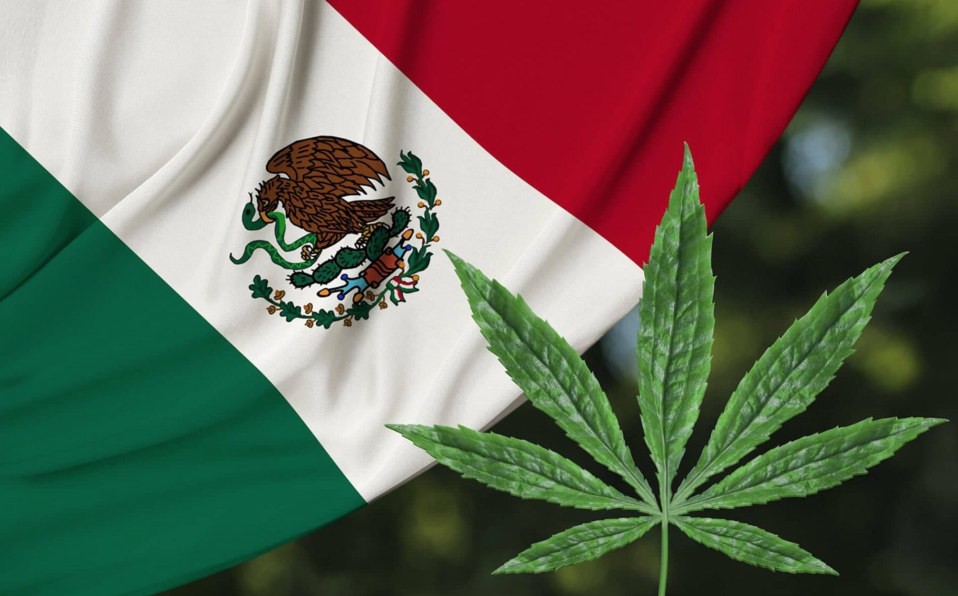 DAL MONDO – Il Messico apre alla marijuana, ma la popolazione è contraria 1